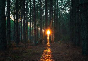 Hope-filled: God gives us hope
