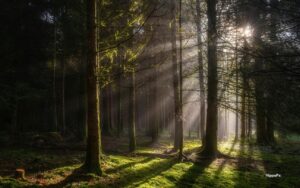 Coming up in Worship