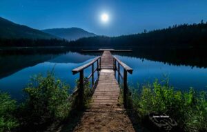 Wonder: Jesus was woke