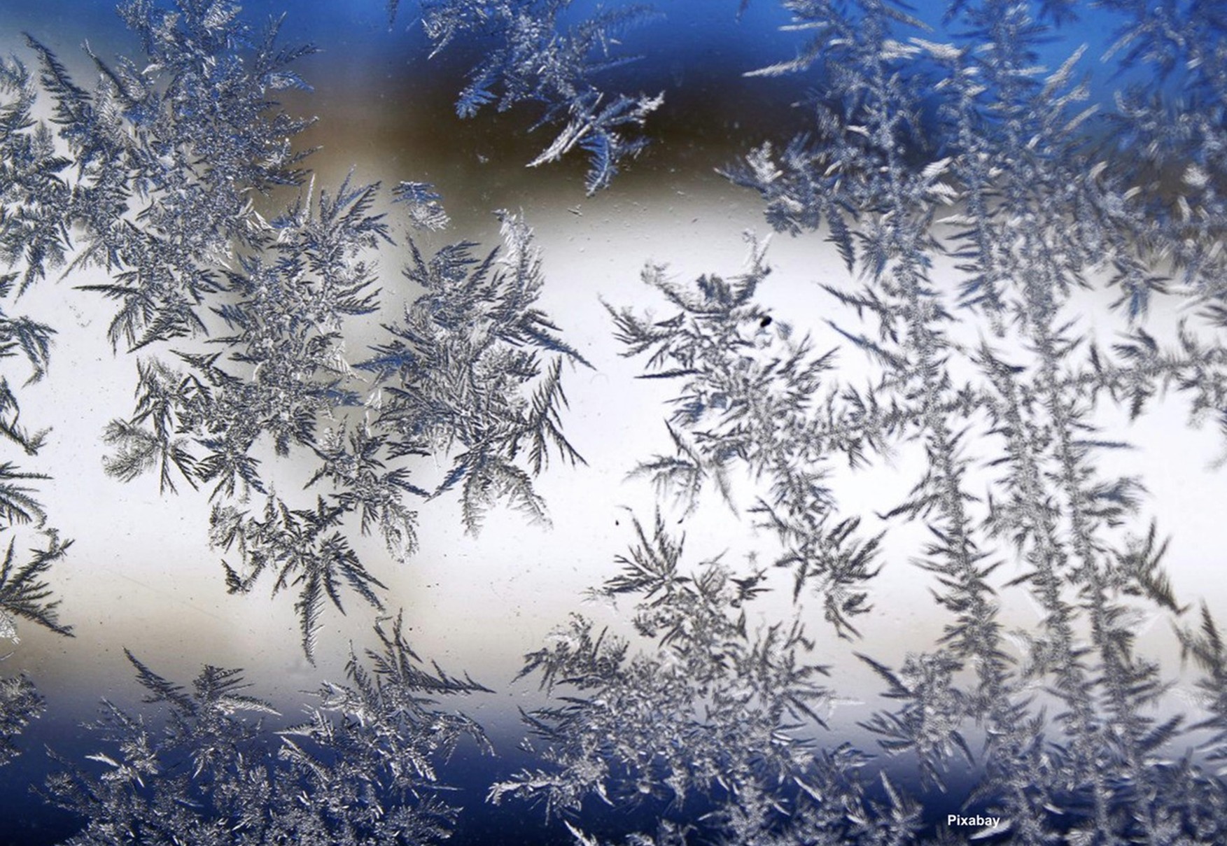 Hope: Artificial Beginnings Hope: Artificial Beginnings