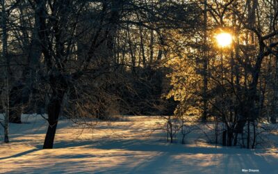 With Us: Christmas Eve