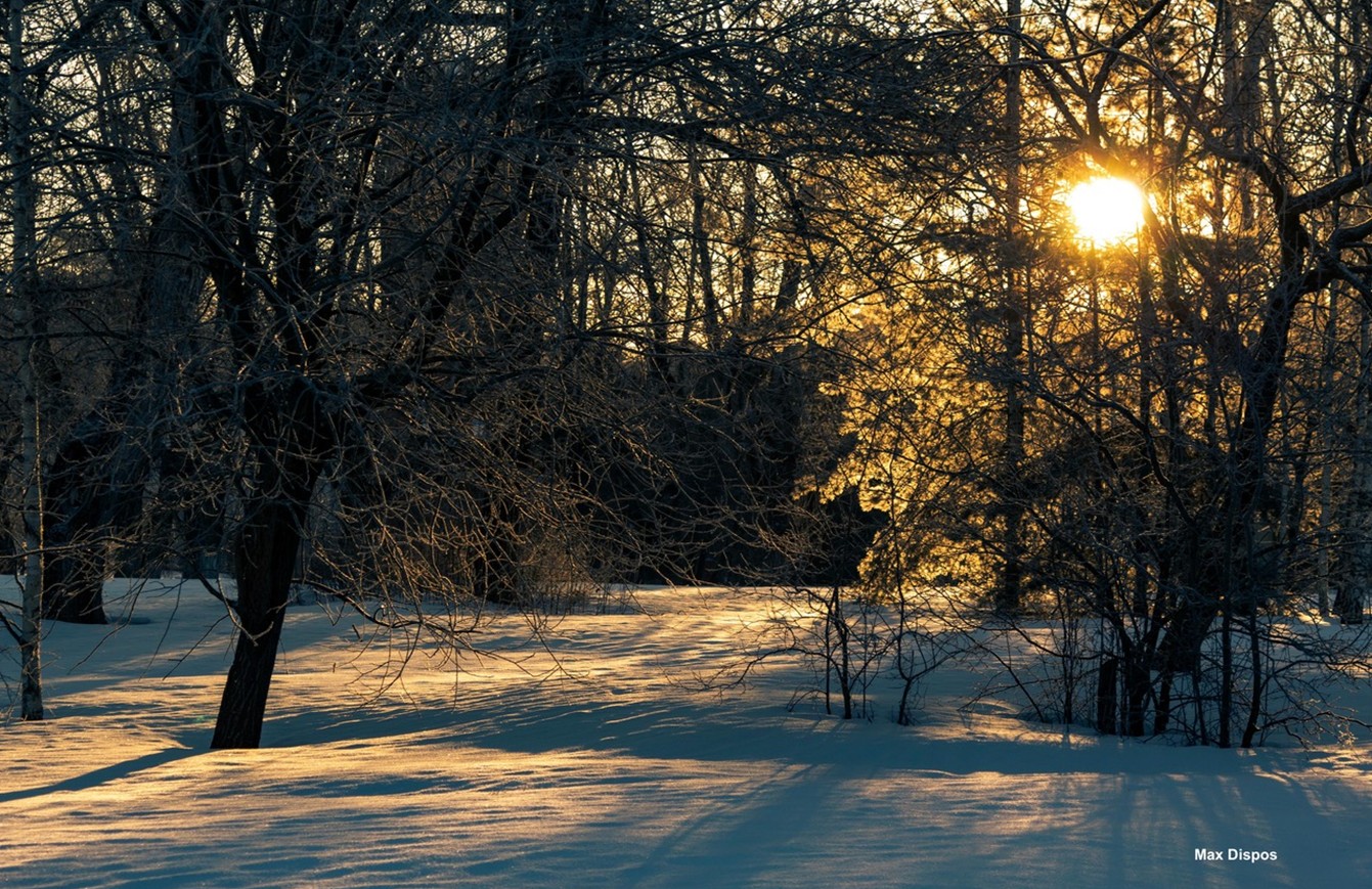 With Us: Christmas Eve