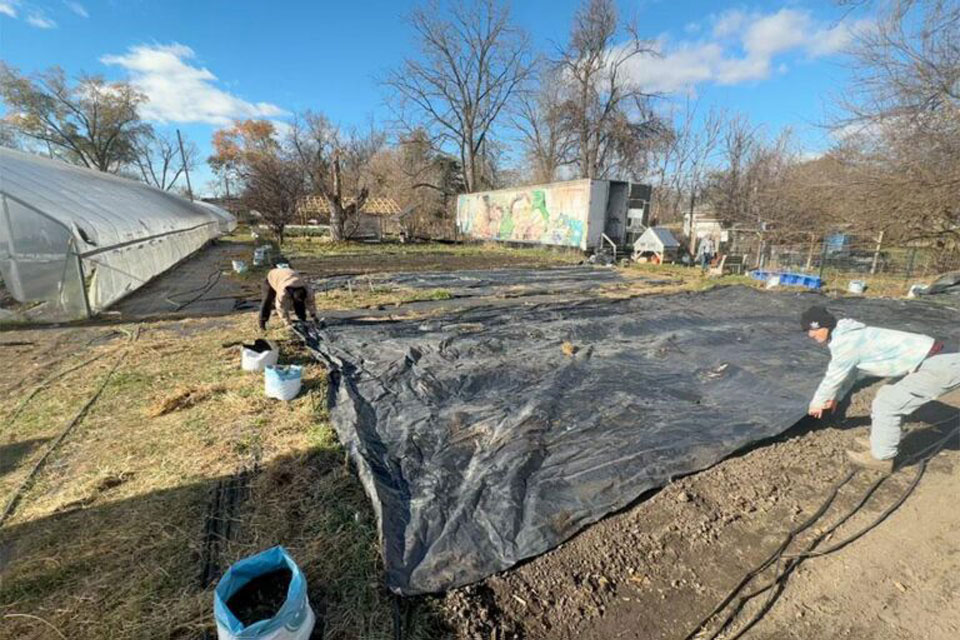 UV-Treated Polyethylene Tarps