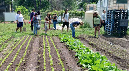 Training workshop being held at our main urban farming site.