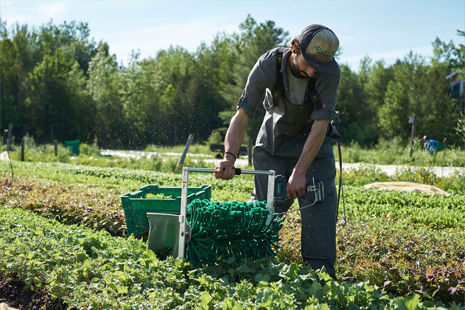 The Quick Cut Harvester