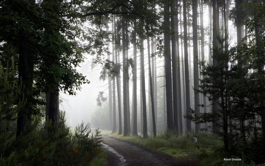 Transformation: Epiphany