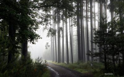 Transformation: Epiphany