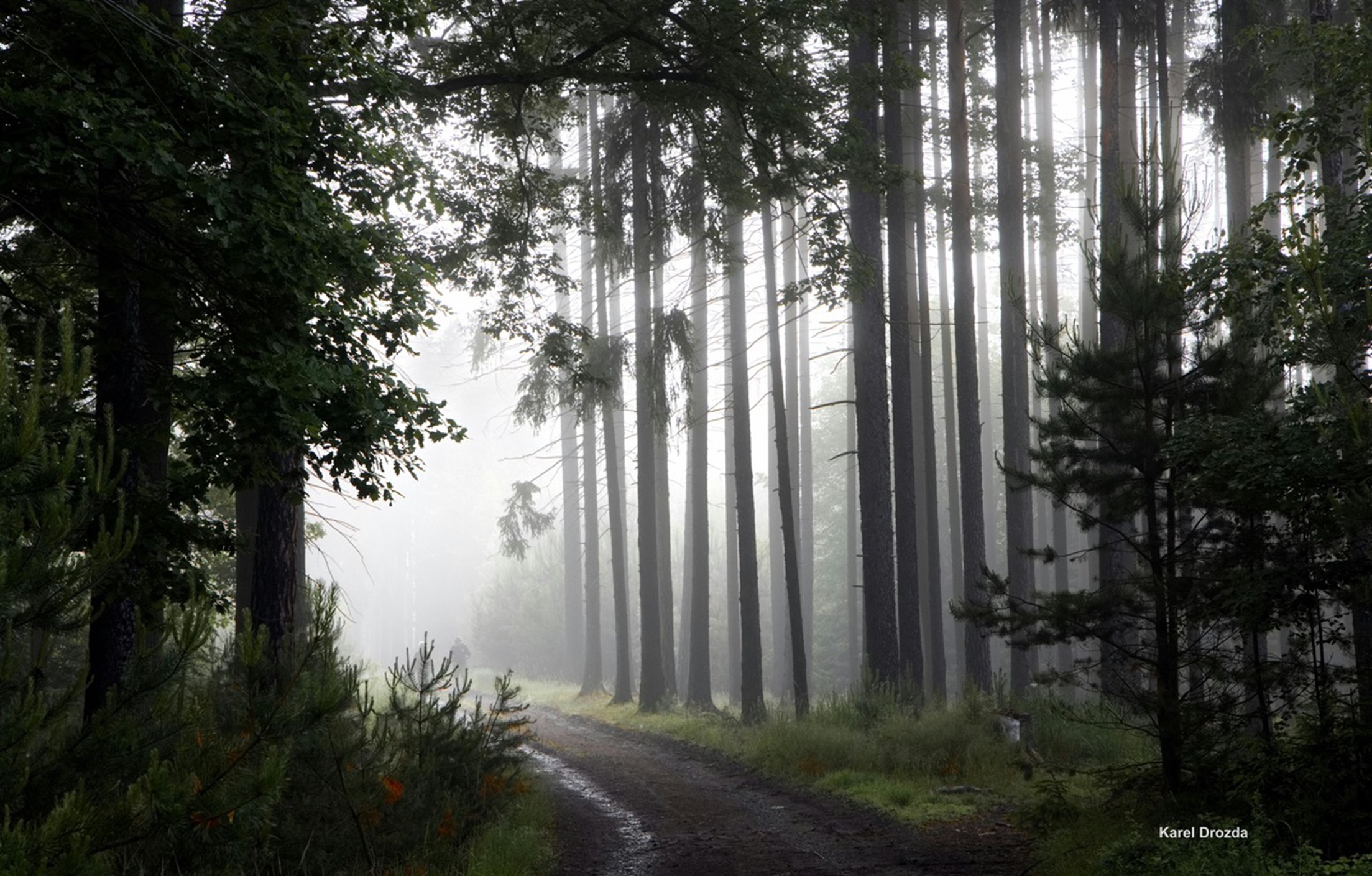 Transformation: Epiphany Transformation: Epiphany