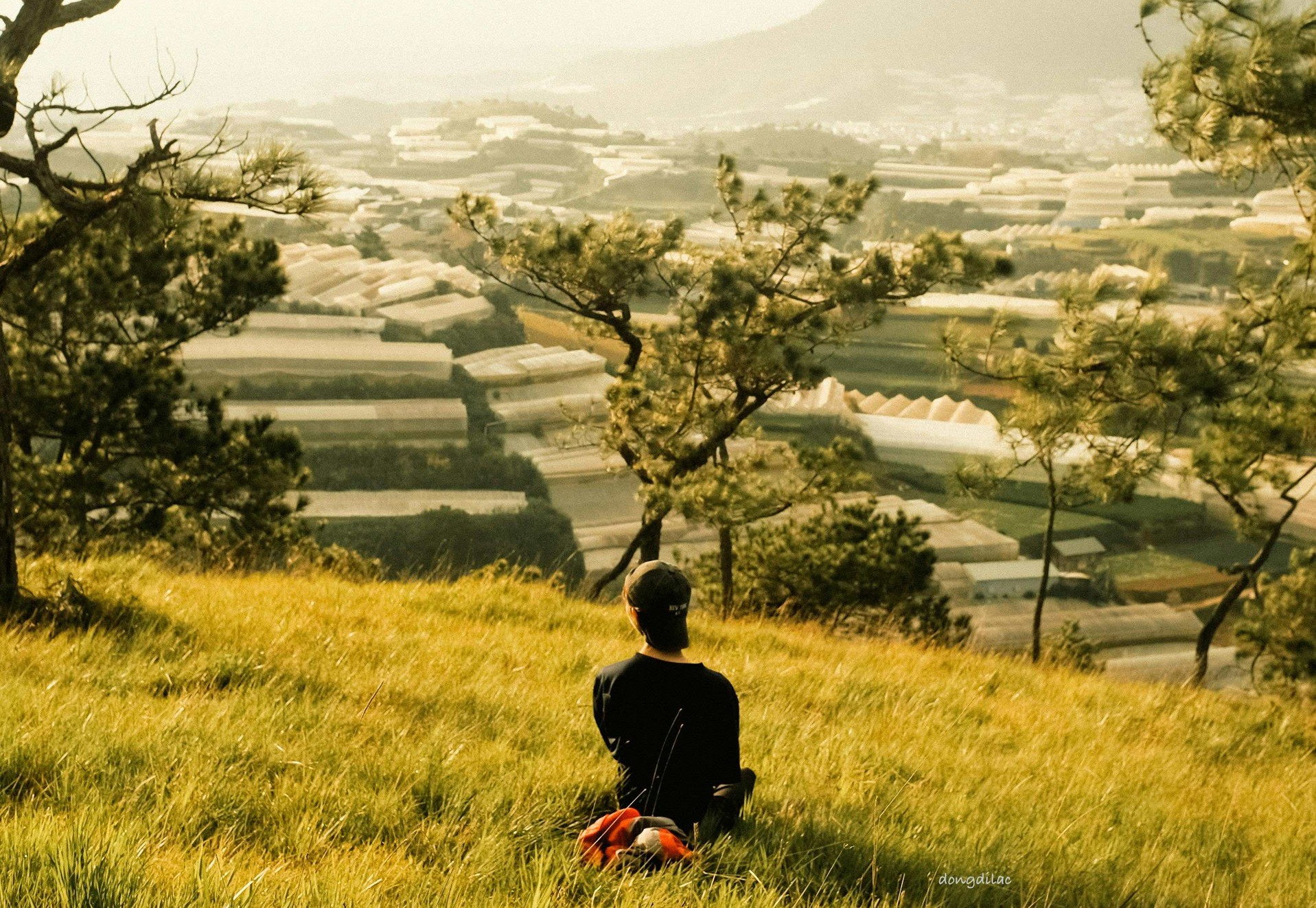 Prayer: Pace